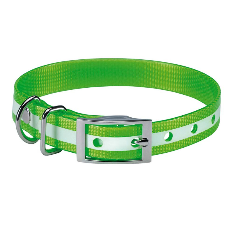 COLLIER CHIEN PHOSPHORESCENT 60 CM Vert