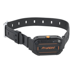 Collier électronique additionnel de dressage