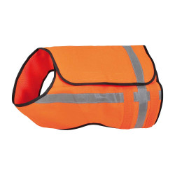 Gilet sécurité pour chien