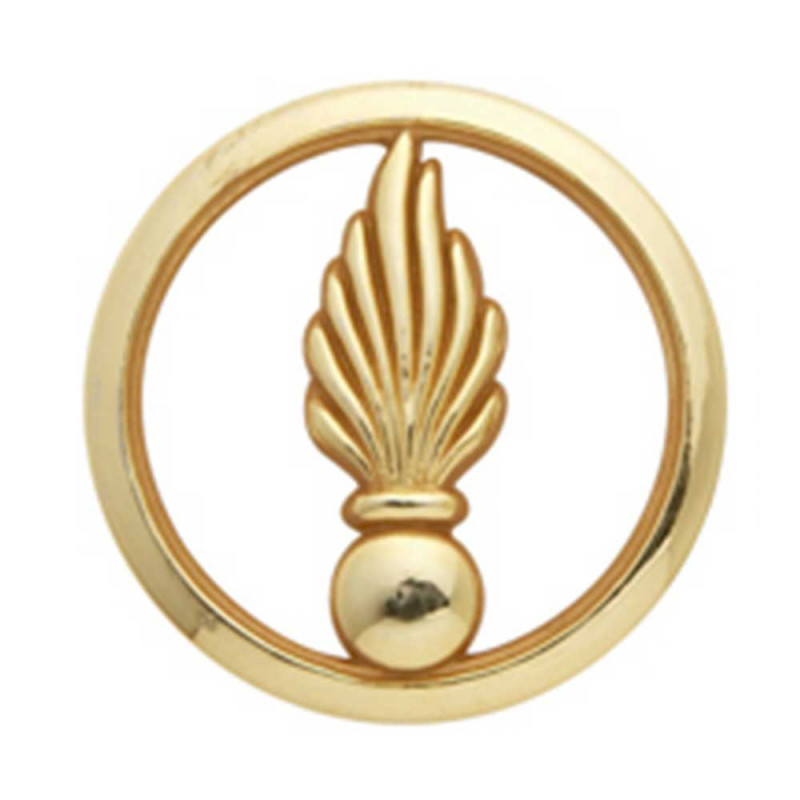 Insigne de béret doré Cadre Spécial