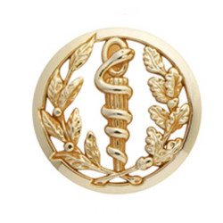 Insigne de béret doré Service de Santé