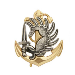 Insigne de béret argenté doré Troupes Aéroportées de Marine